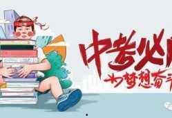 文安何小姐最新爆料消息,揭秘事件背后惊人真相