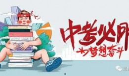 文安何小姐最新爆料消息,揭秘事件背后惊人真相
