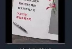 爆料模板教程视频大全最新,全方位掌握短视频制作技巧
